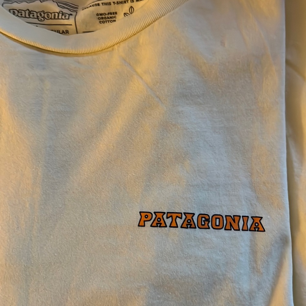 Patagonia Tee